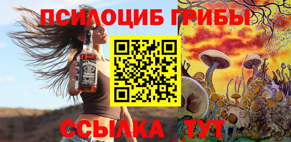 Галлюциногенные грибы Psilocybine cubensis Белово